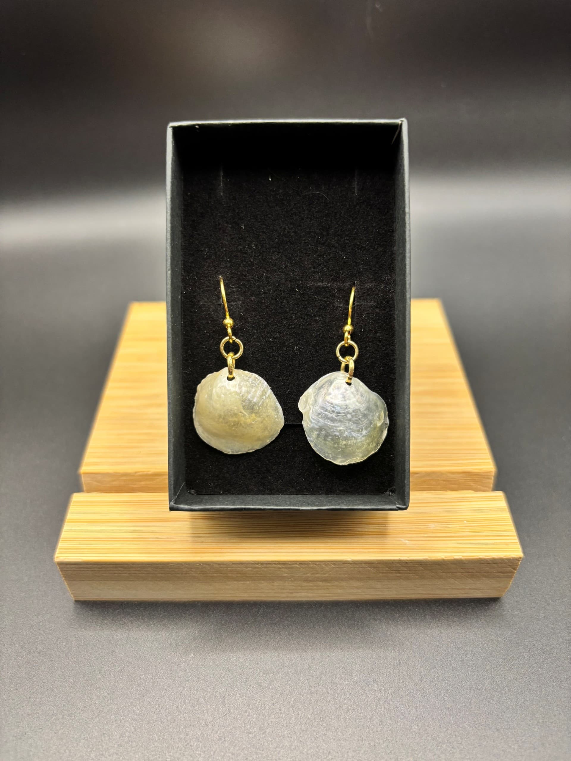 Jingle Shell Earrings